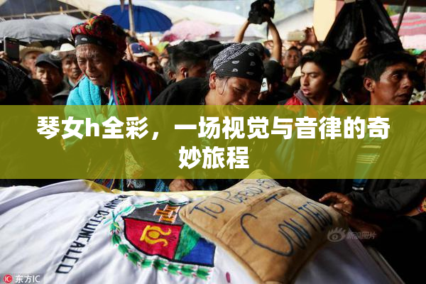 琴女h全彩，一场视觉与音律的奇妙旅程
