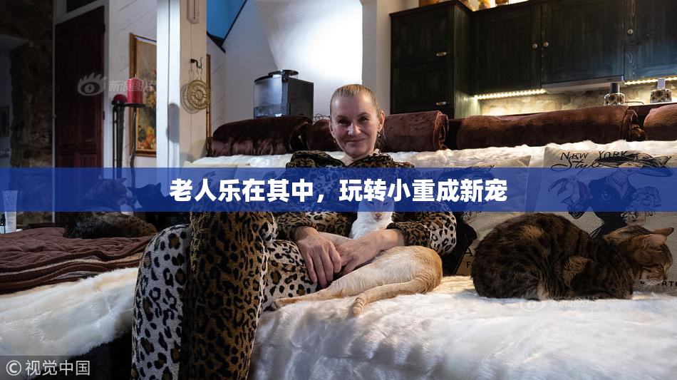 老人乐在其中，玩转小重成新宠