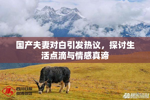 国产夫妻对白引发热议，探讨生活点滴与情感真谛