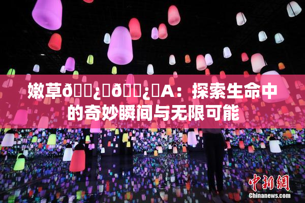 嫩草🌿‌🌿‌A：探索生命中的奇妙瞬间与无限可能