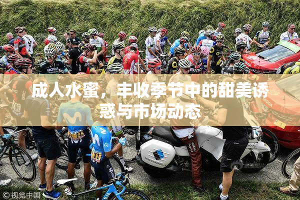 成人水蜜，丰收季节中的甜美诱惑与市场动态