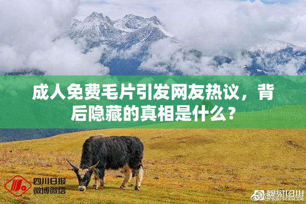 成人免费毛片引发网友热议，背后隐藏的真相是什么？