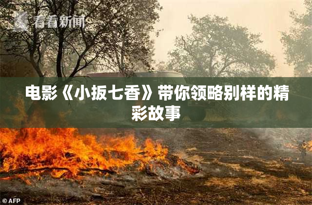 电影《小扳七香》带你领略别样的精彩故事