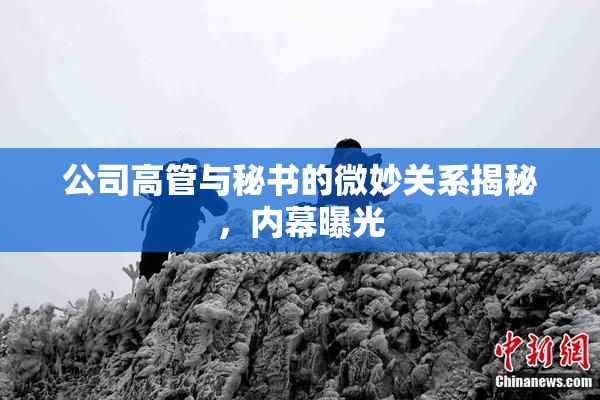 公司高管与秘书的微妙关系揭秘，内幕曝光
