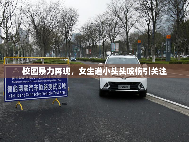 校园暴力再现，女生遭小头头咬伤引关注