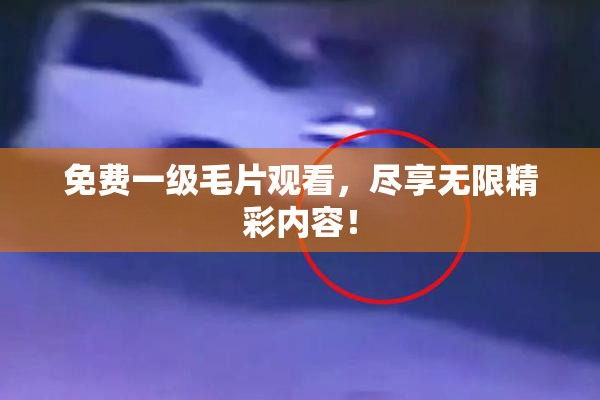 免费一级毛片观看，尽享无限精彩内容！