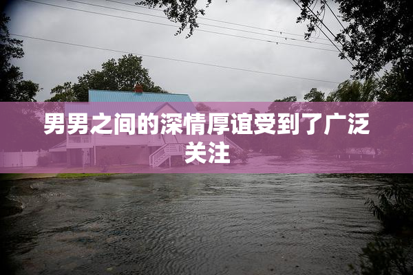男男之间的深情厚谊受到了广泛关注