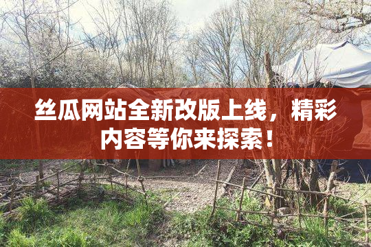 丝瓜网站全新改版上线，精彩内容等你来探索！