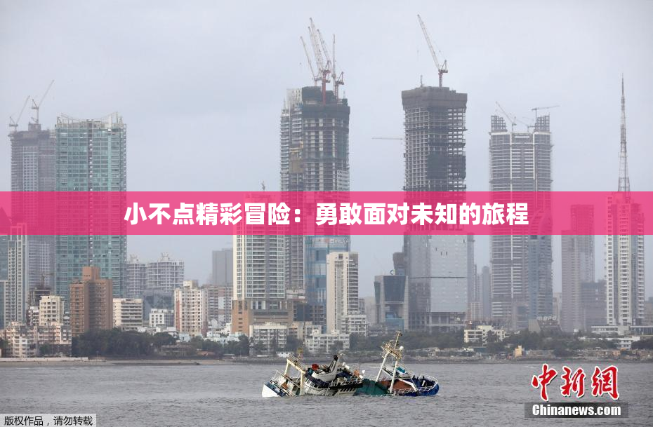 小不点精彩冒险：勇敢面对未知的旅程