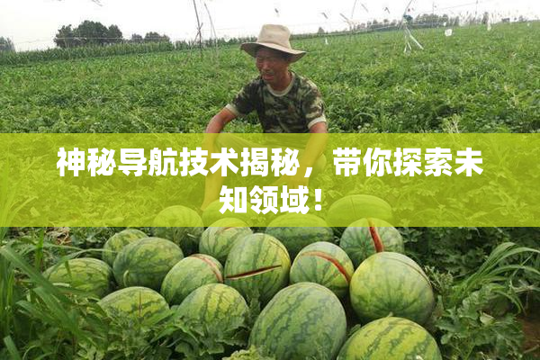 神秘导航技术揭秘，带你探索未知领域！