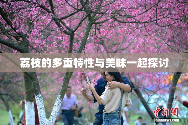 荔枝的多重特性与美味一起探讨
