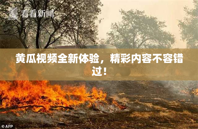 黄瓜视频全新体验，精彩内容不容错过！