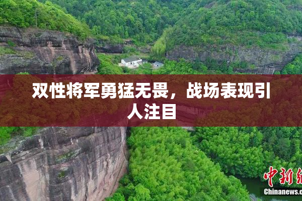 双性将军勇猛无畏，战场表现引人注目