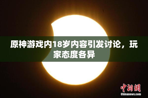 原神游戏内18岁内容引发讨论，玩家态度各异