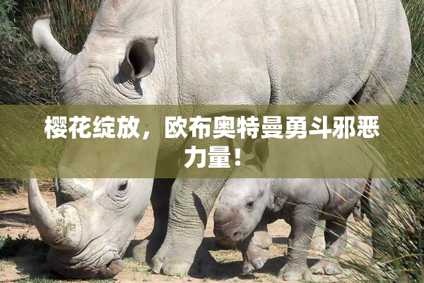樱花绽放，欧布奥特曼勇斗邪恶力量！