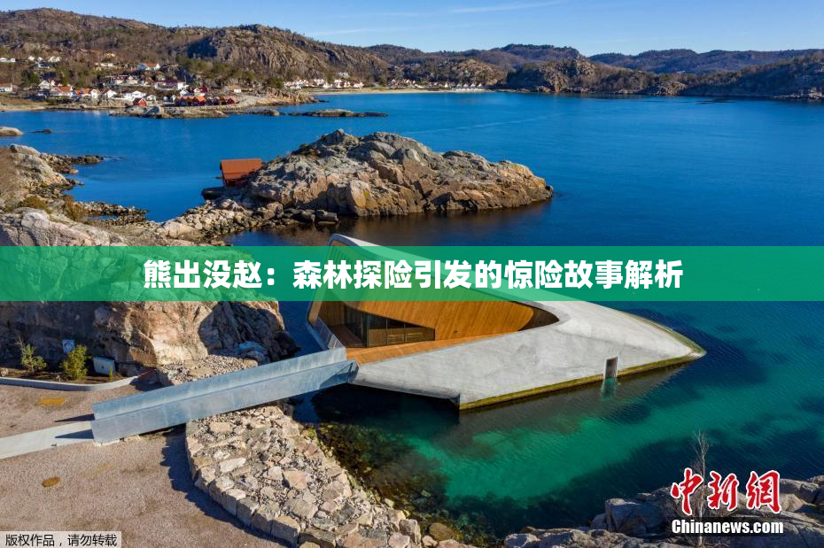 熊出没赵：森林探险引发的惊险故事解析