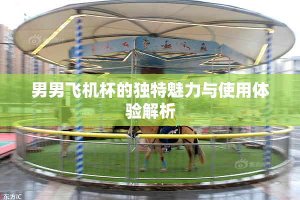 男男飞机杯的独特魅力与使用体验解析
