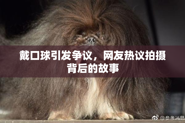 戴口球引发争议，网友热议拍摄背后的故事