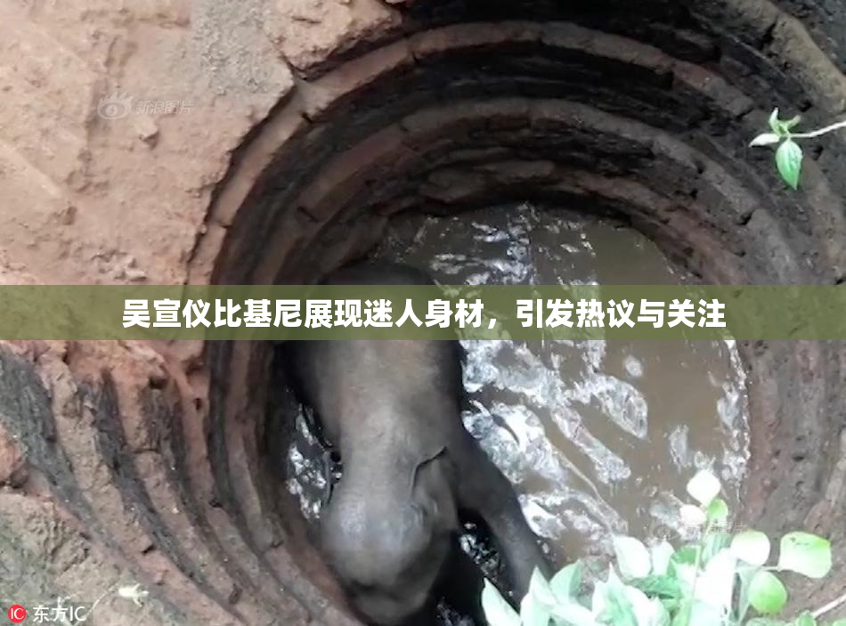 吴宣仪比基尼展现迷人身材，引发热议与关注