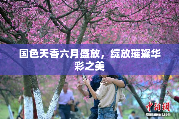 国色天香六月盛放，绽放璀璨华彩之美