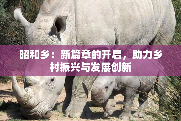 昭和乡：新篇章的开启，助力乡村振兴与发展创新
