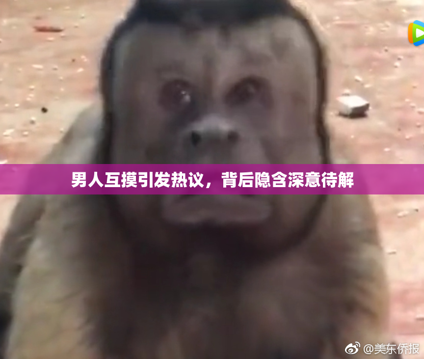 男人互摸引发热议，背后隐含深意待解