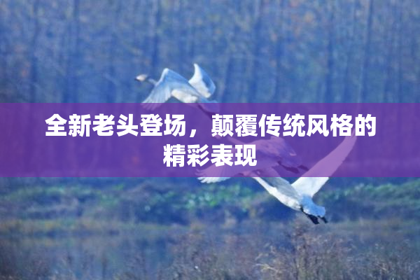 全新老头登场，颠覆传统风格的精彩表现