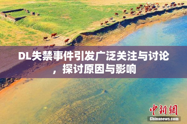 DL失禁事件引发广泛关注与讨论，探讨原因与影响