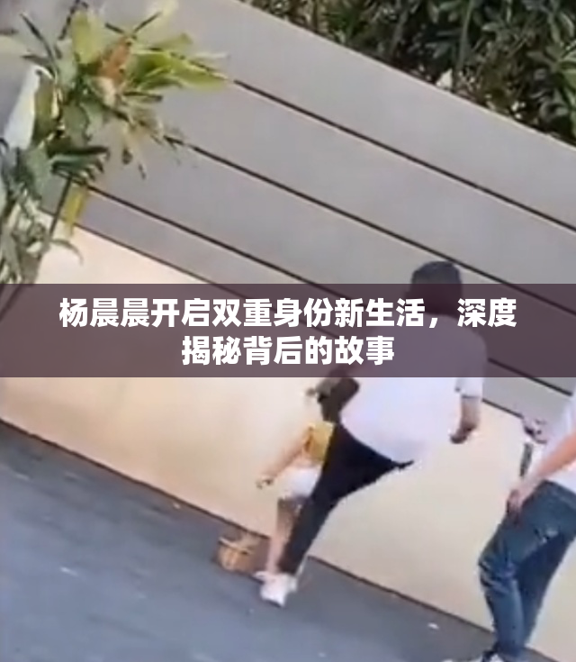 杨晨晨开启双重身份新生活，深度揭秘背后的故事