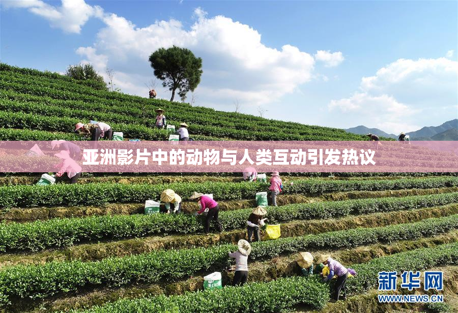 亚洲影片中的动物与人类互动引发热议