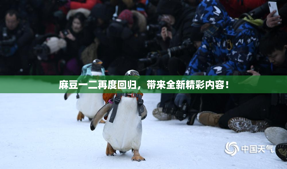 麻豆一二再度回归，带来全新精彩内容！