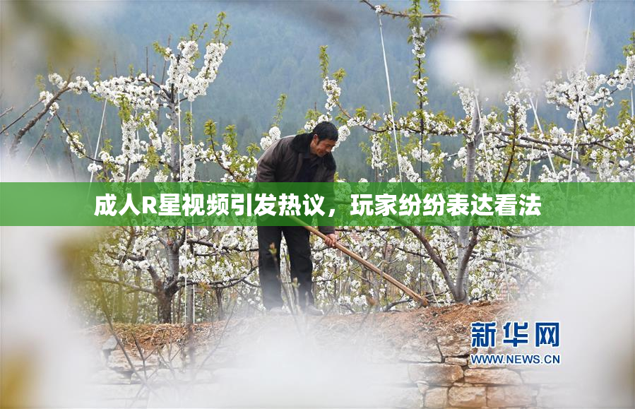 成人R星视频引发热议，玩家纷纷表达看法