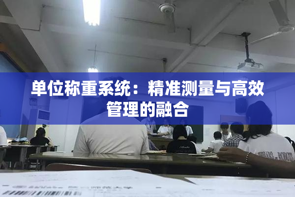 单位称重系统：精准测量与高效管理的融合