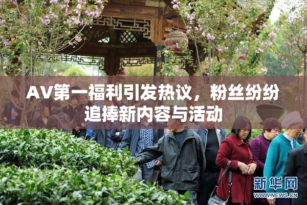 AV第一福利引发热议，粉丝纷纷追捧新内容与活动