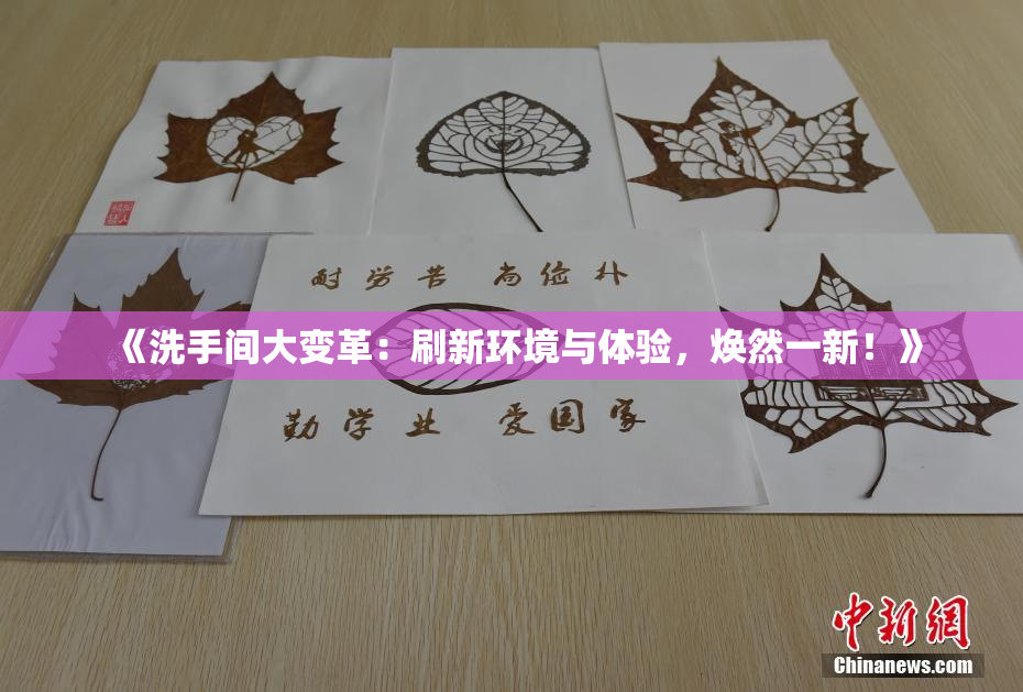 《洗手间大变革：刷新环境与体验，焕然一新！》