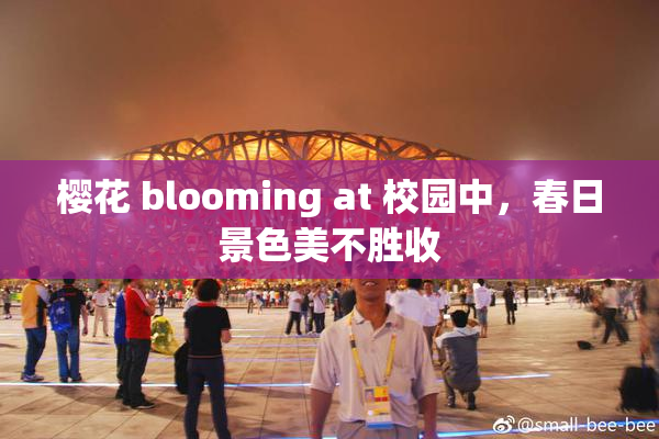 樱花 blooming at 校园中，春日景色美不胜收