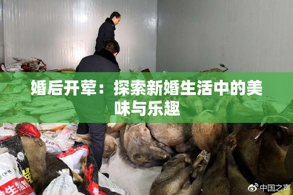 婚后开荤：探索新婚生活中的美味与乐趣