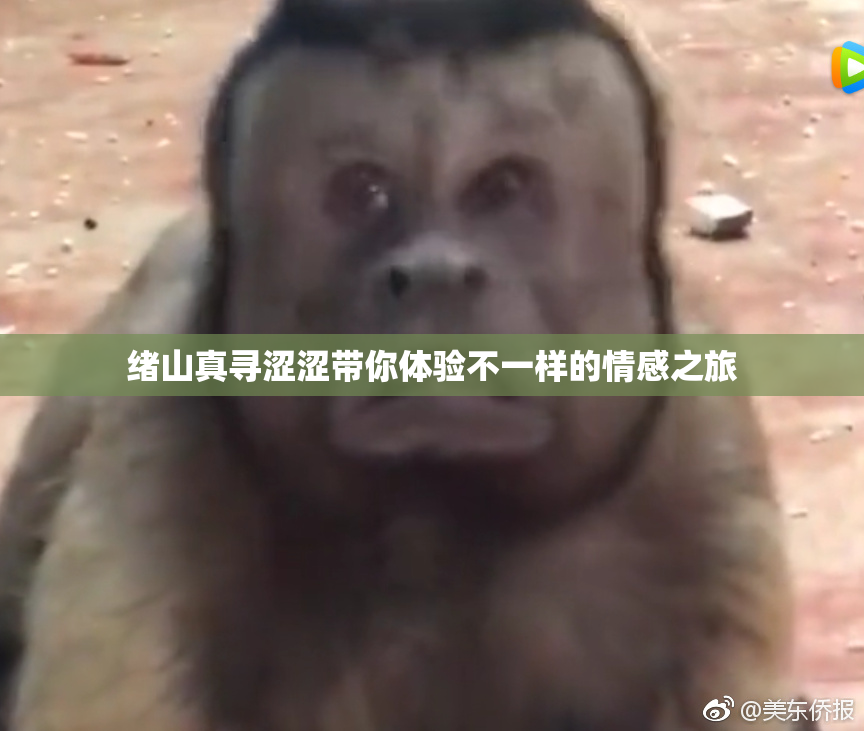 绪山真寻涩涩带你体验不一样的情感之旅