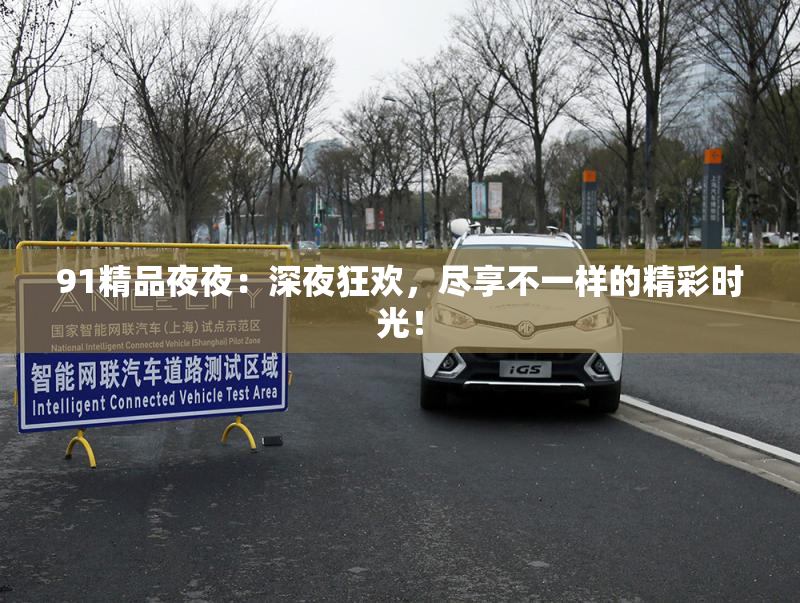 91精品夜夜：深夜狂欢，尽享不一样的精彩时光！