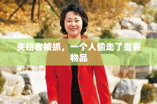 失窃者被抓，一个人偷走了重要物品
