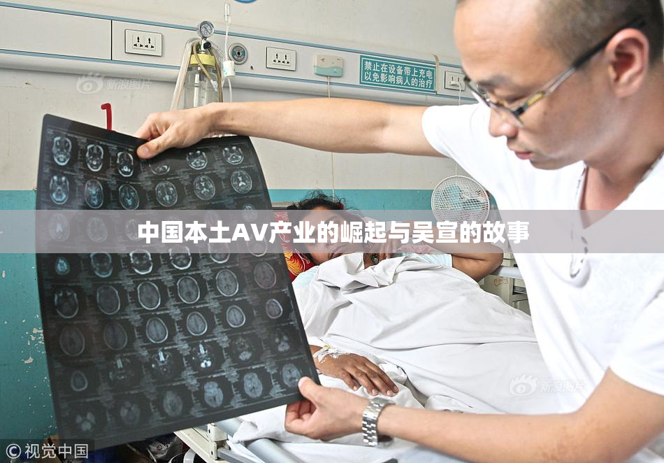 中国本土AV产业的崛起与吴宣的故事