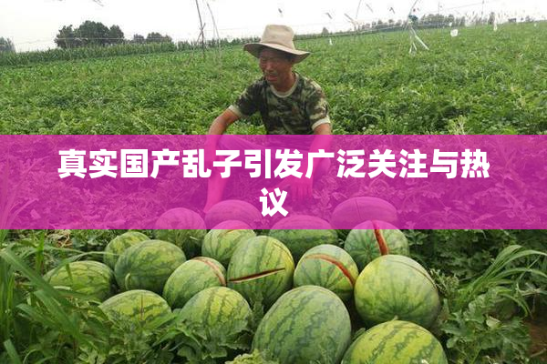 真实国产乱子引发广泛关注与热议