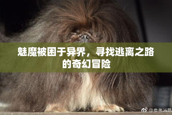 魅魔被困于异界，寻找逃离之路的奇幻冒险