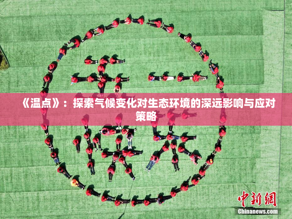 《温点》：探索气候变化对生态环境的深远影响与应对策略