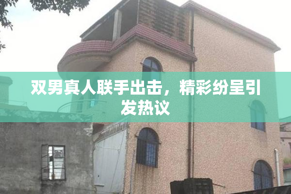 双男真人联手出击，精彩纷呈引发热议