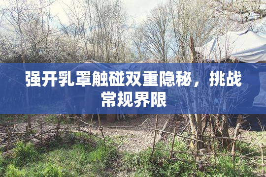 强开乳罩触碰双重隐秘，挑战常规界限