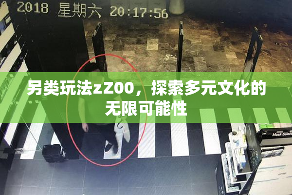 另类玩法zZ00，探索多元文化的无限可能性
