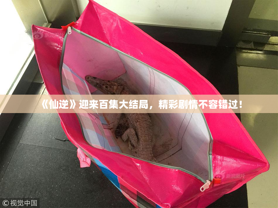 《仙逆》迎来百集大结局，精彩剧情不容错过！