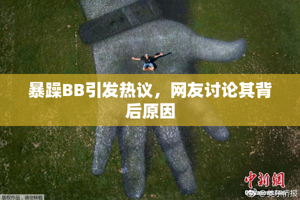 暴躁BB引发热议，网友讨论其背后原因