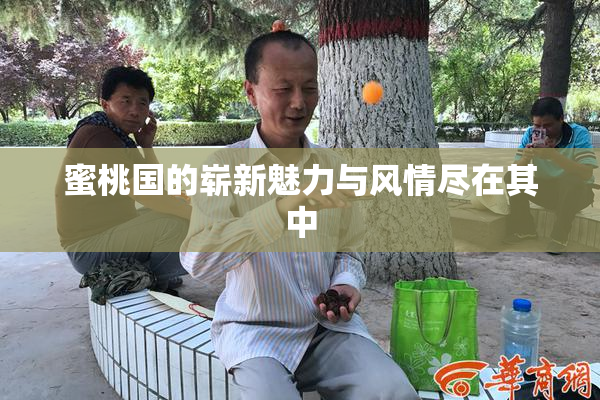 蜜桃国的崭新魅力与风情尽在其中